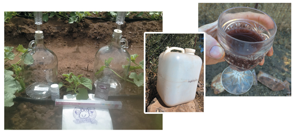 Elderberry Wine Equipment